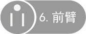 前臂